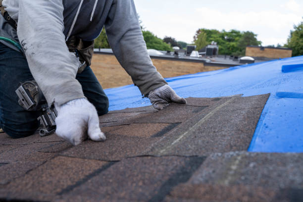 Best Flat Roof Repair Services  in Wills Point, TX
