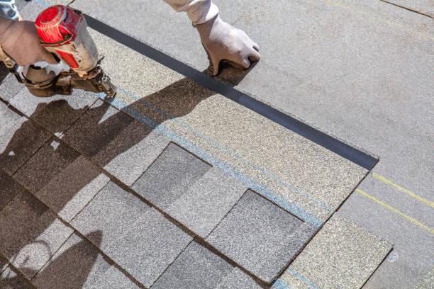 Best Flat Roof Repair Services  in Wills Point, TX